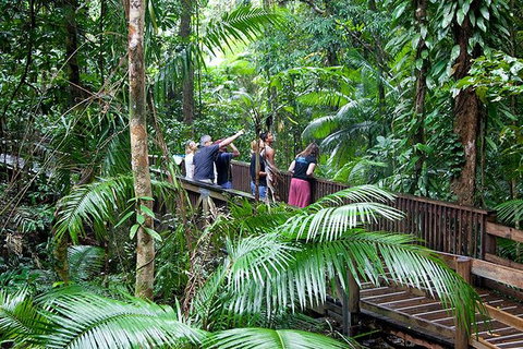 Full Day Daintree Rainforest And Mossman Gorge Tour - Events Australia 0