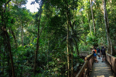Full Day Daintree Rainforest And Mossman Gorge Tour - Events Australia 10