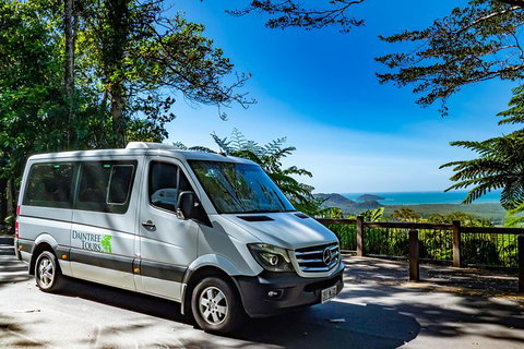 Full Day Daintree Rainforest And Mossman Gorge Tour - Events Australia 6