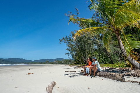 Full Day Daintree Rainforest And Mossman Gorge Tour - Events Australia 11