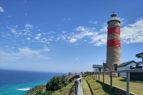 Cape Moreton Scenic 4WD Day Tour From Brisbane Or The Gold Coast - Events Australia 1