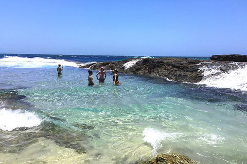 Cape Moreton Scenic 4WD Day Tour From Brisbane Or The Gold Coast - Events Australia 3