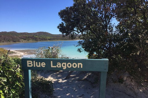 Cape Moreton Scenic 4WD Day Tour From Brisbane Or The Gold Coast - Events Australia 4