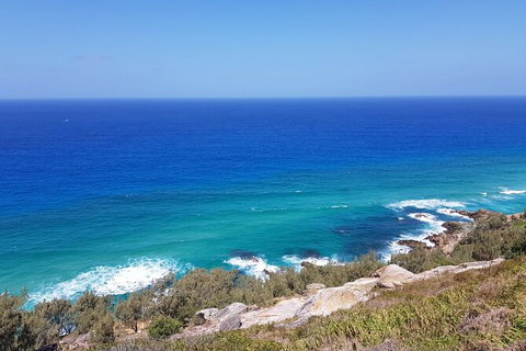 Cape Moreton Scenic 4WD Day Tour From Brisbane Or The Gold Coast - Events Australia 7