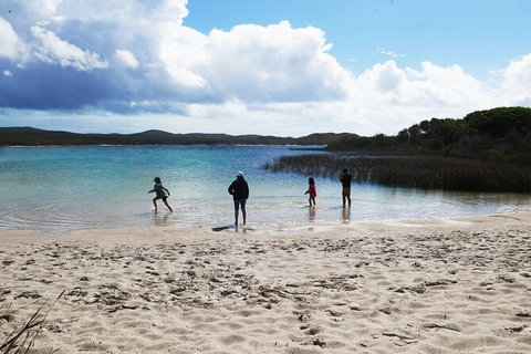 Cape Moreton Scenic 4WD Day Tour From Brisbane Or The Gold Coast - Events Australia 5