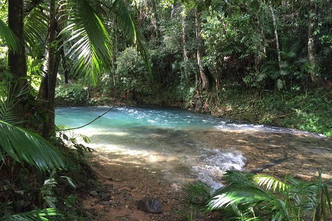 Daintree - Cape Tribulation & Atherton Tablelands Tours From Port Douglas - Events Australia 5