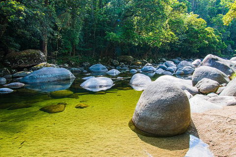 Daintree - Cape Tribulation & Atherton Tablelands Tours From Port Douglas - Events Australia 6
