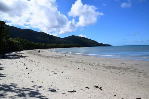 Daintree - Cape Tribulation & Atherton Tablelands Tours From Port Douglas - Events Australia 18