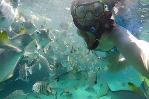 Moreton Island Snorkel And Sandboarding 4WD Day Trip From Brisbane - Events Australia 7