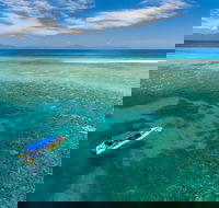 Ocean Safari Great Barrier Reef Experience in Cape Tribulation - Events Australia