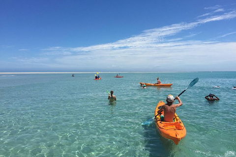 Fraser Island West Coast BBQ Lunch Cruise From Hervey Bay Including Kayaking And Swimming - Events Australia 9