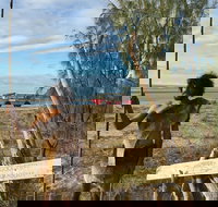 Goolimbil Walkabout Indigenous Experience in the Town of 1770 - Events Australia