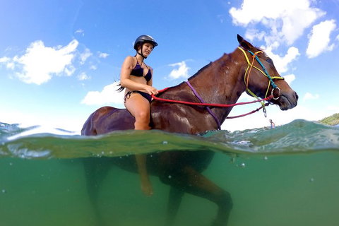 Horse Swimming Ride From Rainbow Beach - Events Australia 1