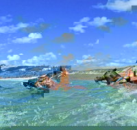 Horse Swimming Ride from Rainbow Beach - Events Australia