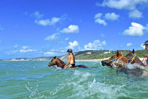 Horse Swimming Ride From Rainbow Beach - Events Australia 0