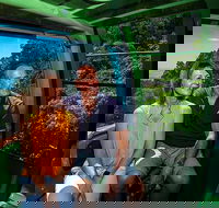 Skyrail Rainforest Cableway Day Trip from Palm Cove - Events Australia