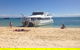 Eco Marine Safari - Boom Netting & Snorkeling Moreton Island - Fortitude Valley - thumb 11