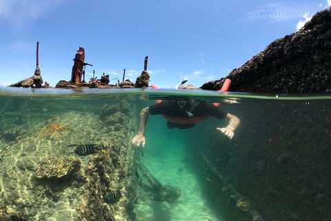 Eco Marine Safari - Boom Netting & Snorkeling Moreton Island - Fortitude Valley - Events Australia 12