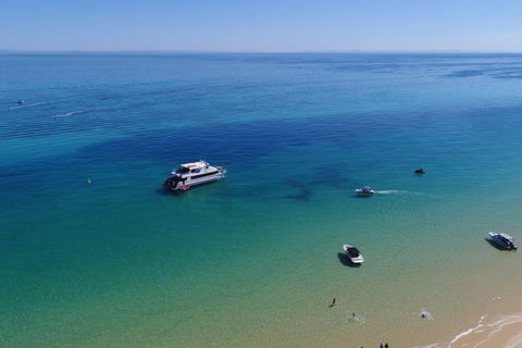 Eco Marine Safari - Boom Netting & Snorkeling Moreton Island - Fortitude Valley - Events Australia 9