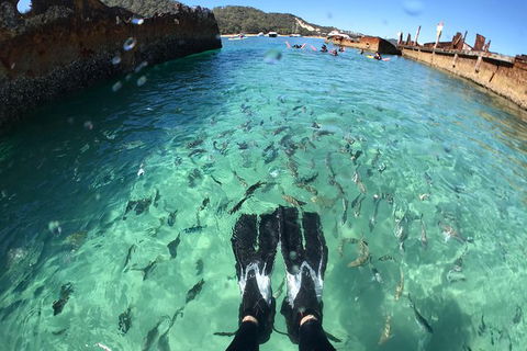 Eco Marine Safari - Boom Netting & Snorkeling Moreton Island - Fortitude Valley - Events Australia 6