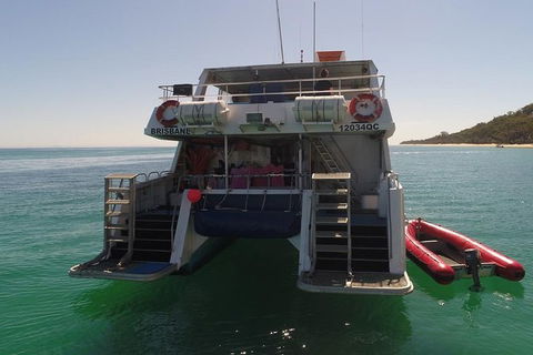 Eco Marine Safari - Boom Netting & Snorkeling Moreton Island - Fortitude Valley - Events Australia 13