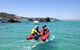 Eco Marine Safari - Boom Netting & Snorkeling Moreton Island - Fortitude Valley - thumb 3