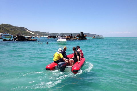 Eco Marine Safari - Boom Netting & Snorkeling Moreton Island - Fortitude Valley - Events Australia 3