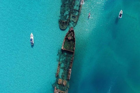 Eco Marine Safari - Boom Netting & Snorkeling Moreton Island - Fortitude Valley - Events Australia 8