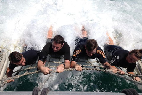 Eco Marine Safari - Boom Netting & Snorkeling Moreton Island - Fortitude Valley - Events Australia 10