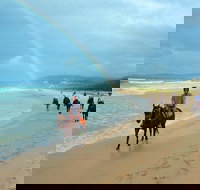 Rainbow Beach Horse Ride - Events Australia