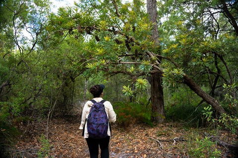 Pack-free Camping: Lake McKenzie Central Hike - 2 Days - Events Australia 1
