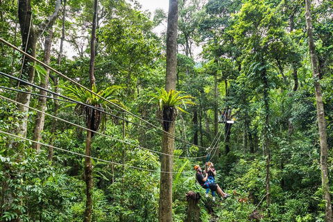 Cape Tribulation And Jungle Surfing Adventure Day From Port Douglas - Events Australia 0