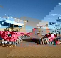 Town of 1770 Afternoon Cruise - Events Australia