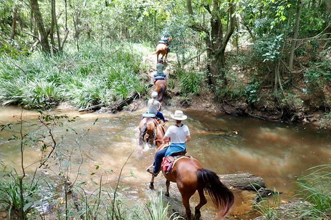 Country Day Ride From Mt Goomboorian With Rainbow Beach Horse Rides - Events Australia 1