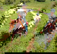 Country Day Ride from Mt Goomboorian with Rainbow Beach Horse Rides - Events Australia