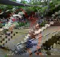 Hartley's Crocodile Adventures Day Trip from Cairns - Events Australia