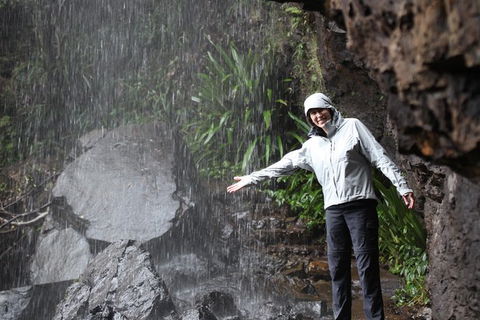 Small-Group 4WD Springbrook National Park Day Trip From Brisbane - Events Australia 1