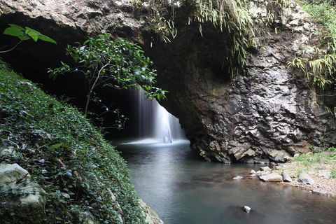 Small-Group 4WD Springbrook National Park Day Trip From Brisbane - Events Australia 0