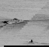 Overnight Tweed Coast Camping and Surfing Getaway From The Gold Coast - Events Australia