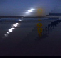 Full Moon Horse Ride at Rainbow Beach - Events Australia