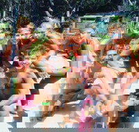 1770 CASTAWAY SURVIVOR 3 Day 2 Night Island Adventure Tour - Events Australia