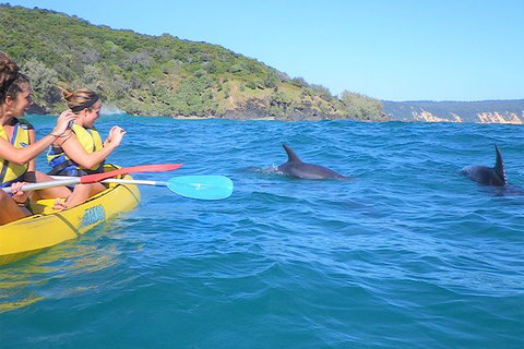 Half-Day Kayak With Dolphins And 4WD Beach Drive From Rainbow Beach - Events Australia 3