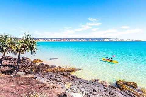 Half-Day Kayak With Dolphins And 4WD Beach Drive From Rainbow Beach - Events Australia 5
