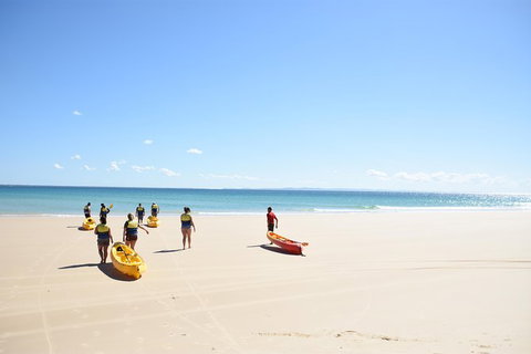 Half-Day Kayak With Dolphins And 4WD Beach Drive From Rainbow Beach - Events Australia 10