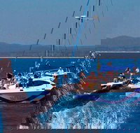 Blue Dolphin Exclusive Whale Watch Encounters - Events Australia