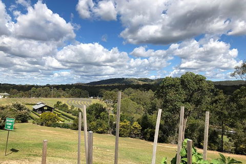 Sirromet Winery All Inclusive Lunch @ Lurleens, Tour, Tastings And Transfers - Events Australia 4