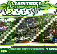 Daintree Atttractions Pass The Best of the Daintree in a Day - Events Australia