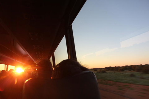 Kings Canyon Day Trip From Ayers Rock - Events Australia 22