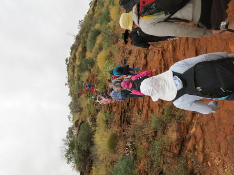 Kings Canyon Day Trip From Ayers Rock - Events Australia 14