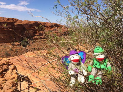 Kings Canyon Day Trip From Ayers Rock - Events Australia 23